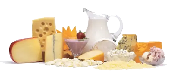 Dairy